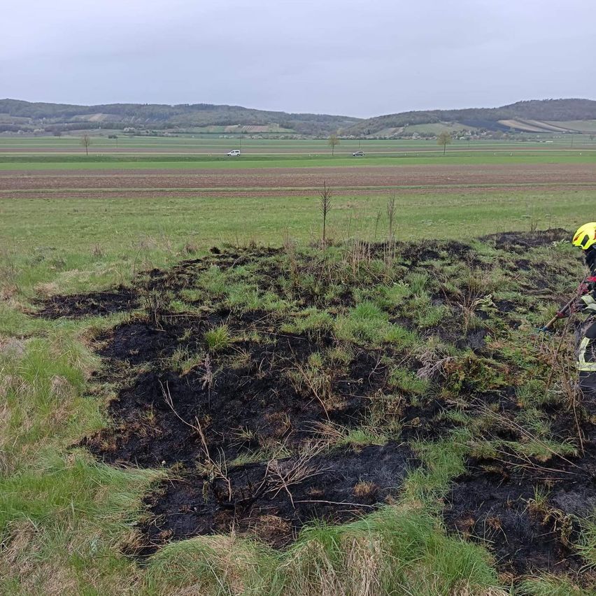 Ein Feuerwehrmann mit gelbem Helm untersucht eine verbrannte Stelle in einem Grasfeld, mit Bergen in der Ferne und klarem Himmel.