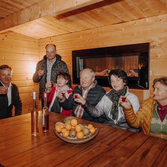 Sechs Erwachsene sitzen um einen Holztisch in einem Raum mit Holzwänden und halten Getränke. Flaschen und eine Obstschale stehen auf dem Tisch. Ein Kamin ist hinter ihnen.
