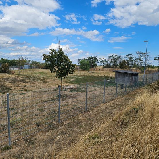 Ein offenes Feld mit einem Metallzaun und einem kleinen Holzschuppen, unter einem blauen Himmel mit verstreuten Wolken.