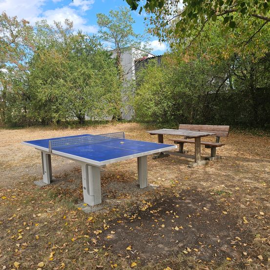 Ein Outdoor-Tischtennistisch mit blauer Oberseite und Betonsockel steht in einem Park. Ein hölzerner Picknicktisch mit Bänken ist in der Nähe, umgeben von Bäumen.
