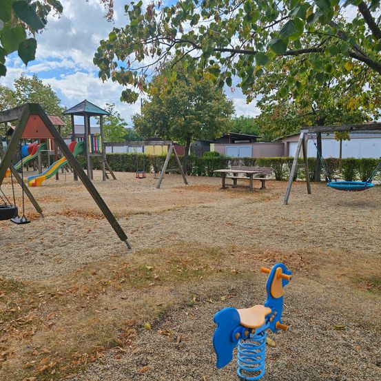 Ein leerer Kinderspielplatz mit Rutsche, Schaukeln und einer Bank unter einem Baum an einem sonnigen Tag.