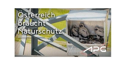 Ein Bild zeigt eine Metallbox mit drei jungen Vögeln darin, mit dem Text 'Österreich braucht Naturschutz' darüber. Die Box ist an einer Metallstruktur montiert.