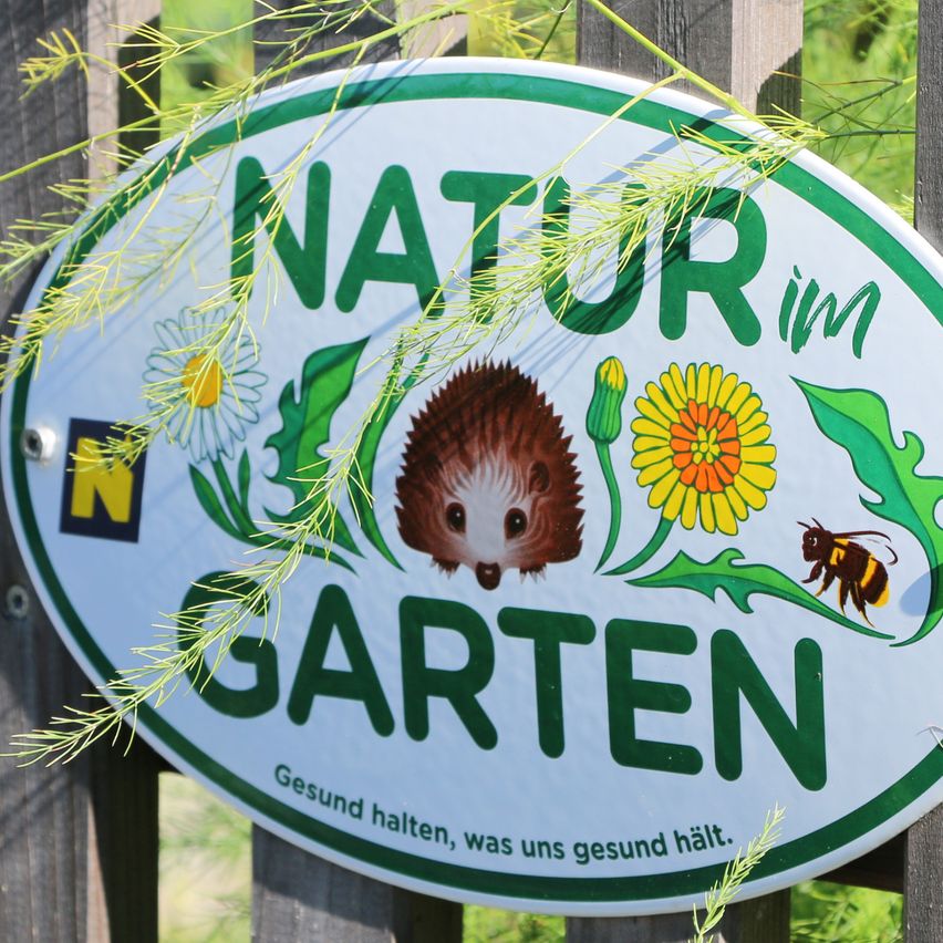 Bild enthält, Fence, Outdoors, Nature