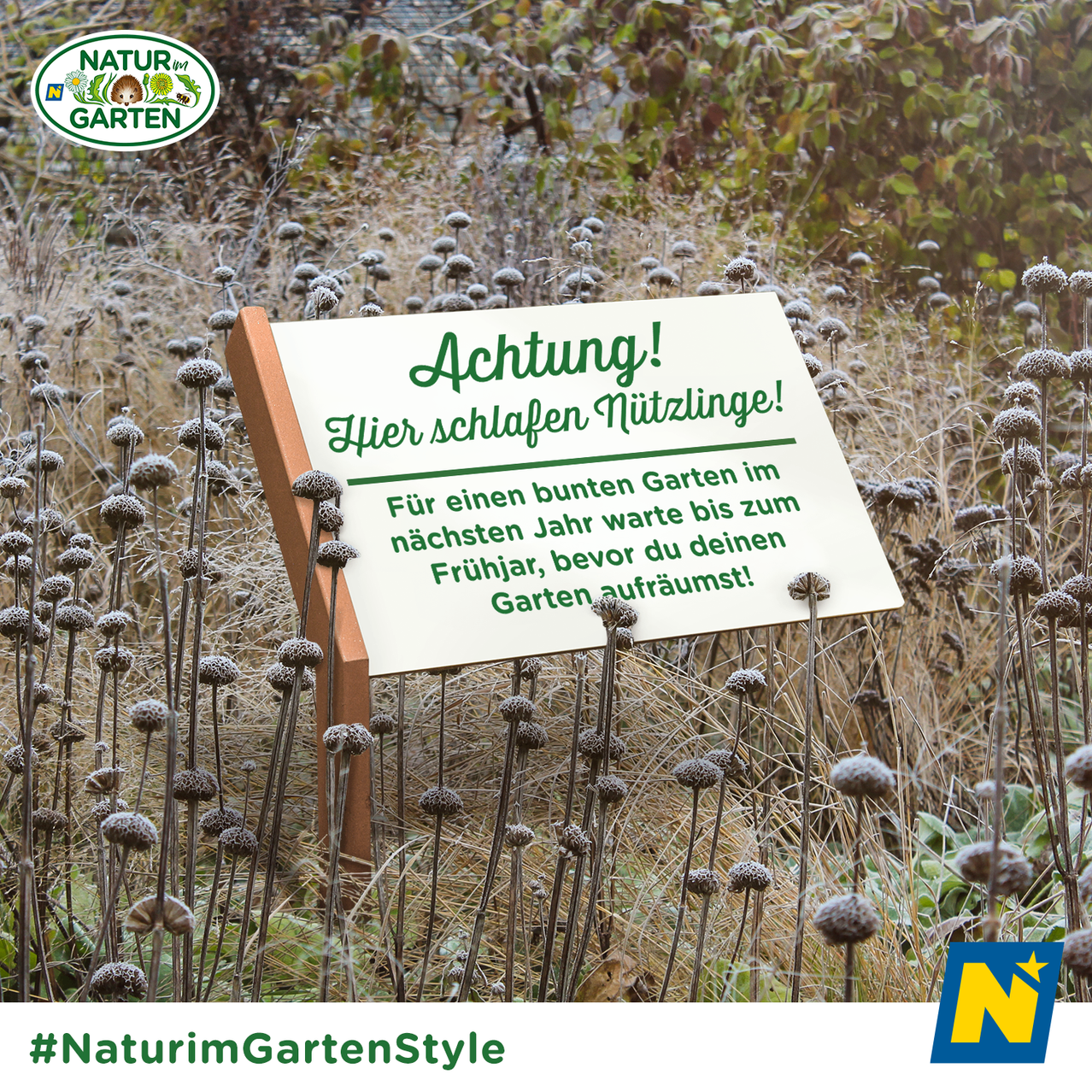 Bild enthält, Herbal, Herbs, Plant, Vegetation, Flower, Grass, Advertisement, Outdoors