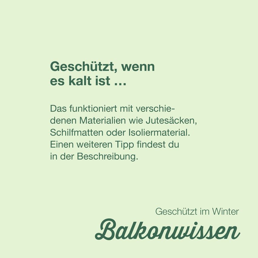 Ein grüner Hintergrund zeigt einen Text über den Schutz von Pflanzen im Winter. Der Text lautet: 'Geschützt, wenn es kalt ist.' Es wird erklärt, dass dies mit verschiedenen Materialien wie Jutesäcken, Planen oder Isoliermaterial funktioniert. Einen weiteren Tipp findest du in der Beschreibung.