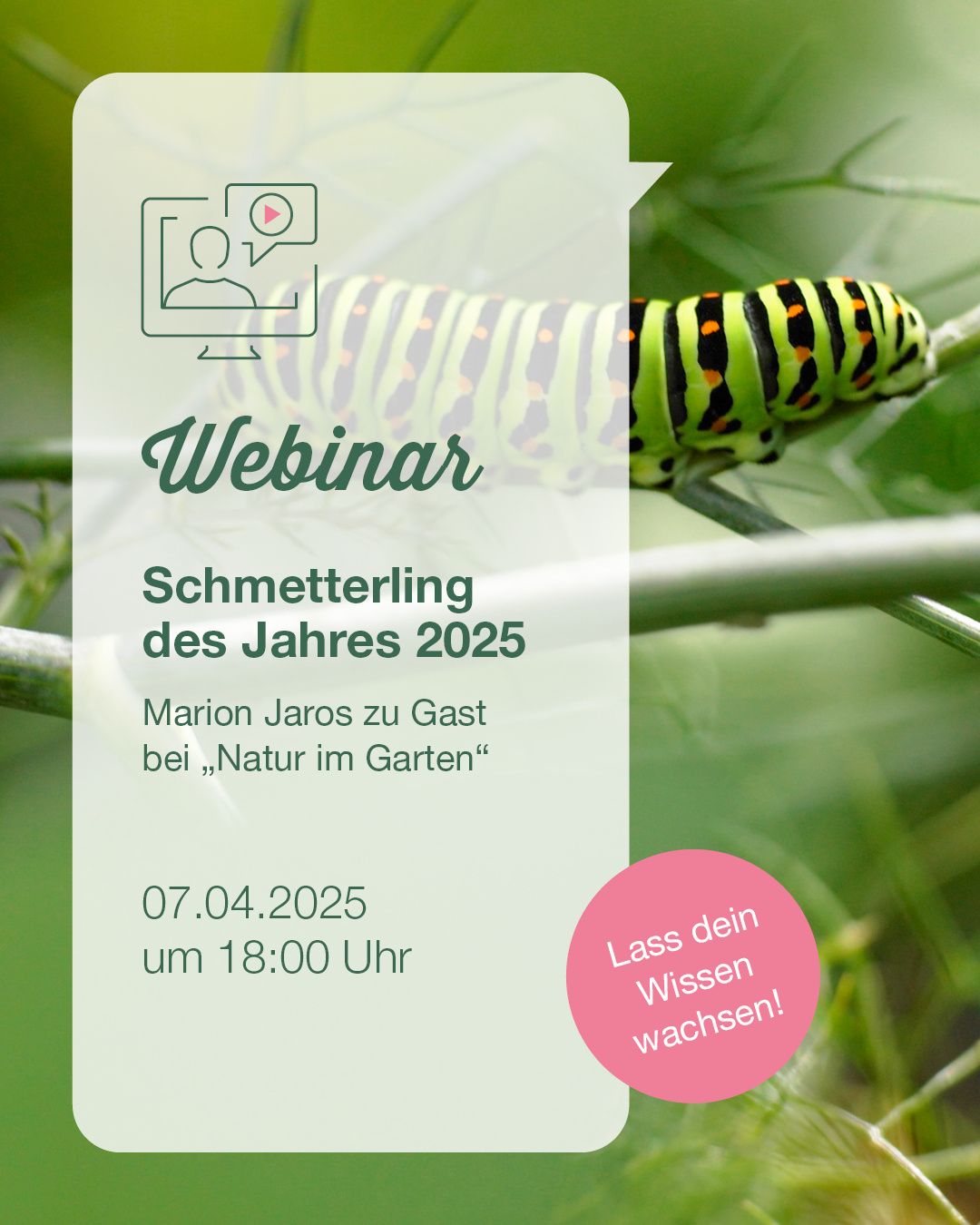 Bild enthält, Advertisement, Poster, Animal, Insect, Invertebrate, Text, Herbs, Plant