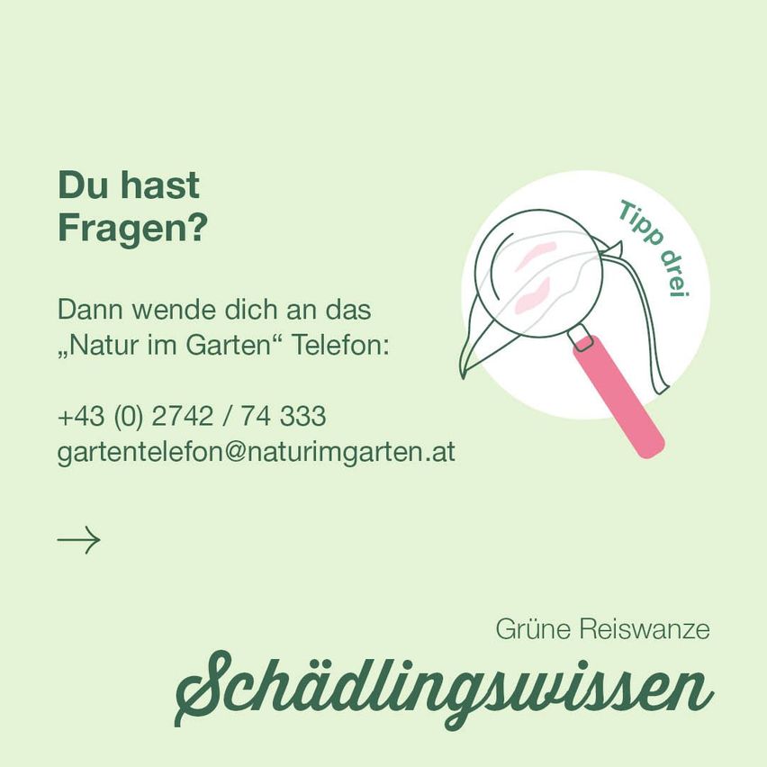 GrReiswanzeallg9