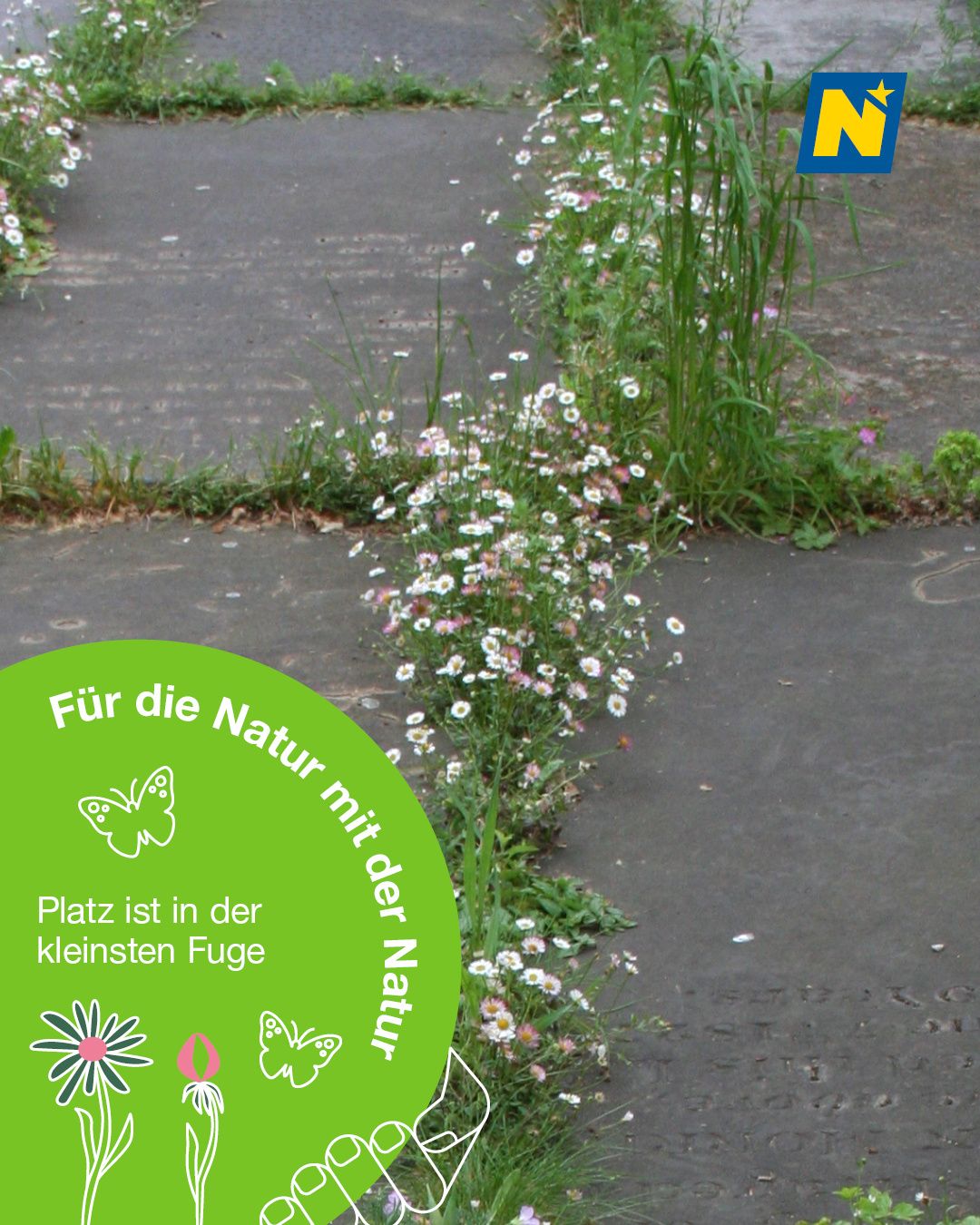 Ein von Blumen und Grün umgebener Betonbereich mit einem grünen Kreis in der Mitte, der 'Für die Natur' und 'Platz ist im kleinsten Raum' auf Deutsch besagt.