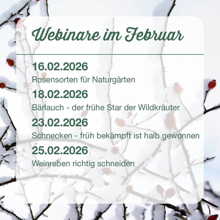 Ein Flyer mit verschneirtem Hintergrund bewirbt Webinare im Februar. Es listet vier Termine mit Themen wie Rosensorten für Naturgärten und frühzeitige Bekämpfung von Schnecken auf.