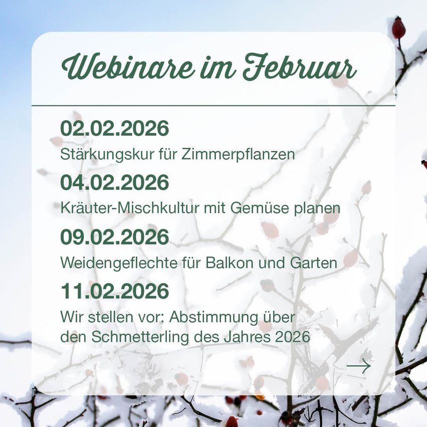 Plakat für Webinare im Februar. Datum und Themen sind aufgelistet: 02.02.2026, Kräftigungskurs für Zimmerpflanzen; 04.02.2026, Kräuter-Mischkultur mit Gemüsepflanzen; 09.02.2026, Weidengefleckte für Balkon und Garten; 11.02.2026, Abstimmung über den Schmetterling des Jahres 2026.