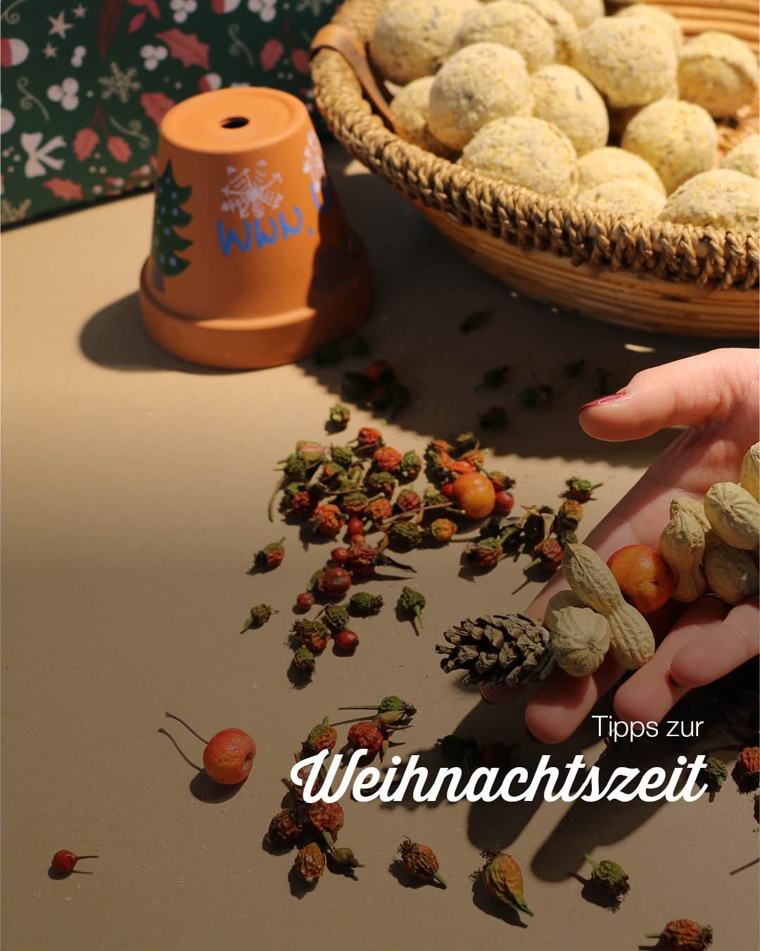 Eine Person hält Nüsse und Beeren vor einem Korb mit Weihnachtskugeln, einem bemalten Terrakotta-Topf und Geschenkpapier.