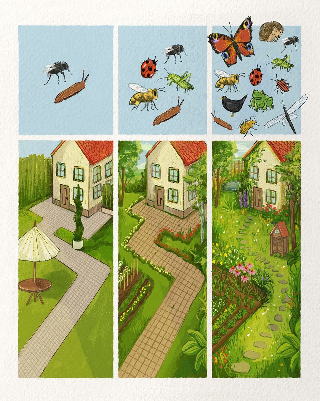 Eine Reihe von Illustrationen, die verschiedene Insekten über einem Garten mit einem Haus zeigen, was zu einem Garten mit einem Haus und einem Weg führt, dann zu einem Garten mit einem Haus und einem Steinweg.