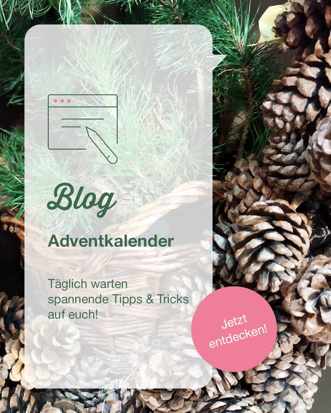 Eine Werbung für einen Blog mit einem Korb voller Kiefernzapfen im Hintergrund. Es bietet tägliches Warten, spannende Tipps und Tricks. Es ermutigt den Leser, jetzt zu entdecken.