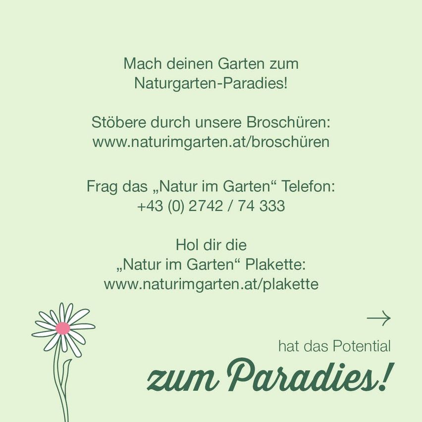 Transform your garden into a natural paradise! Browse our brochures at www.naturimgarten.at/broschüren. Call 'Nature in the Garden' at +43 (0) 2742 / 74 333 or visit www.naturimgarten.at/plakette. Your garden has the potential to be a paradise!