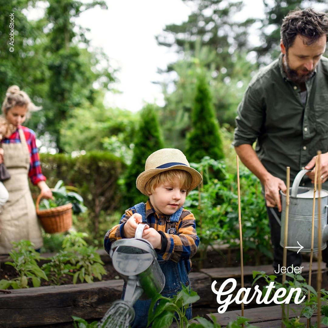 A young boy waters plants in a garden with his family. A man and a woman hold watering cans. The boy wears a hat. The garden has plants and trees.