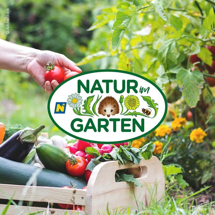 A person holds a tomato in a garden with vegetables in a wooden crate. The banner reads Natur Garten.