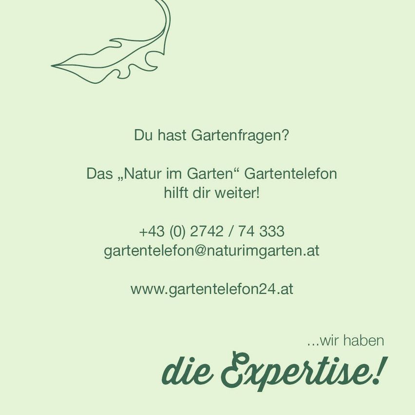 NIG_GartentelefonExpertise4