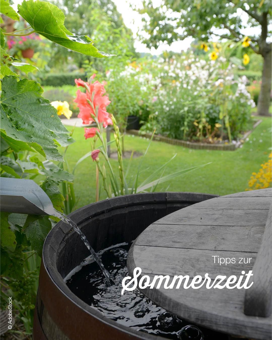 Eine Gartenszene mit einem schwarzen Fass, das Wasser aus einem Auslauf sammelt, einem Holztisch und bunten Blumen. Der Hintergrund zeigt einen üppigen Rasen und verschiedene Pflanzen. Die Wörter 'tipps zur Sommerzeit' sind in weiß geschrieben.