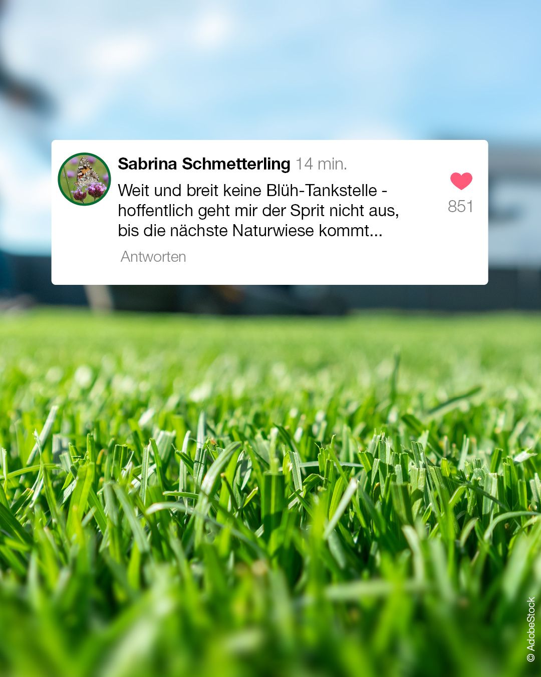 Ein Grasfeld mit einem Tweet-Overlay, der 'Keine blühenden Tankpflanzen - hoffentlich geht mir der Sprit nicht aus, bis die nächste Naturwanderung kommt' mit 851 Likes liest.