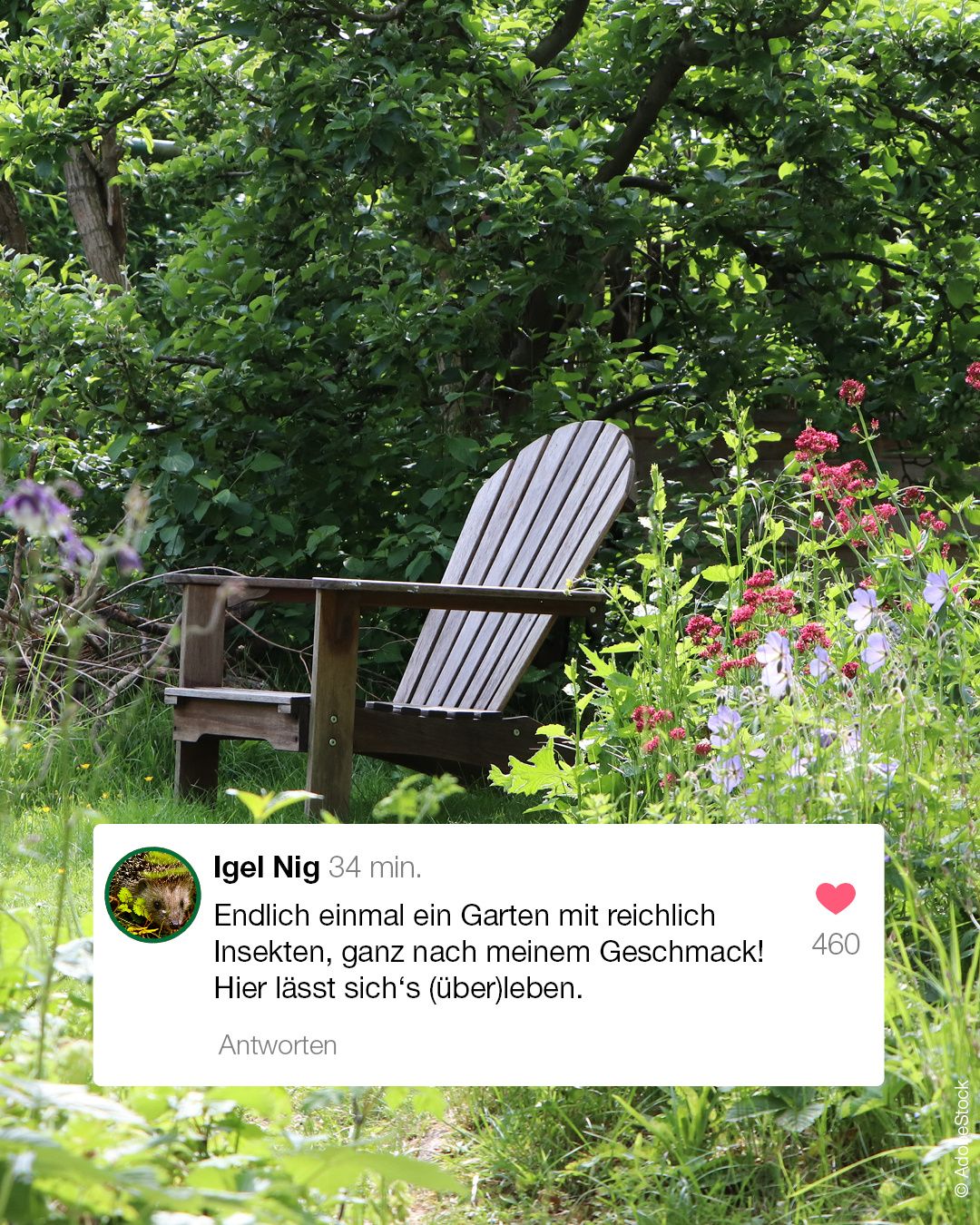 NtzlingeaufInsta2