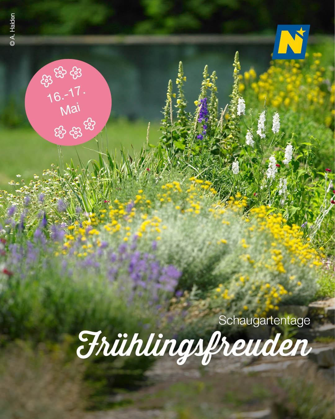 Ein lebendiger Garten voller bunter Blumen, einschließlich gelber, lila und weißer Blüten, mit einem pinkfarbenen Schild, das die Veranstaltungstermine vom 16. bis 17. Mai anzeigt.