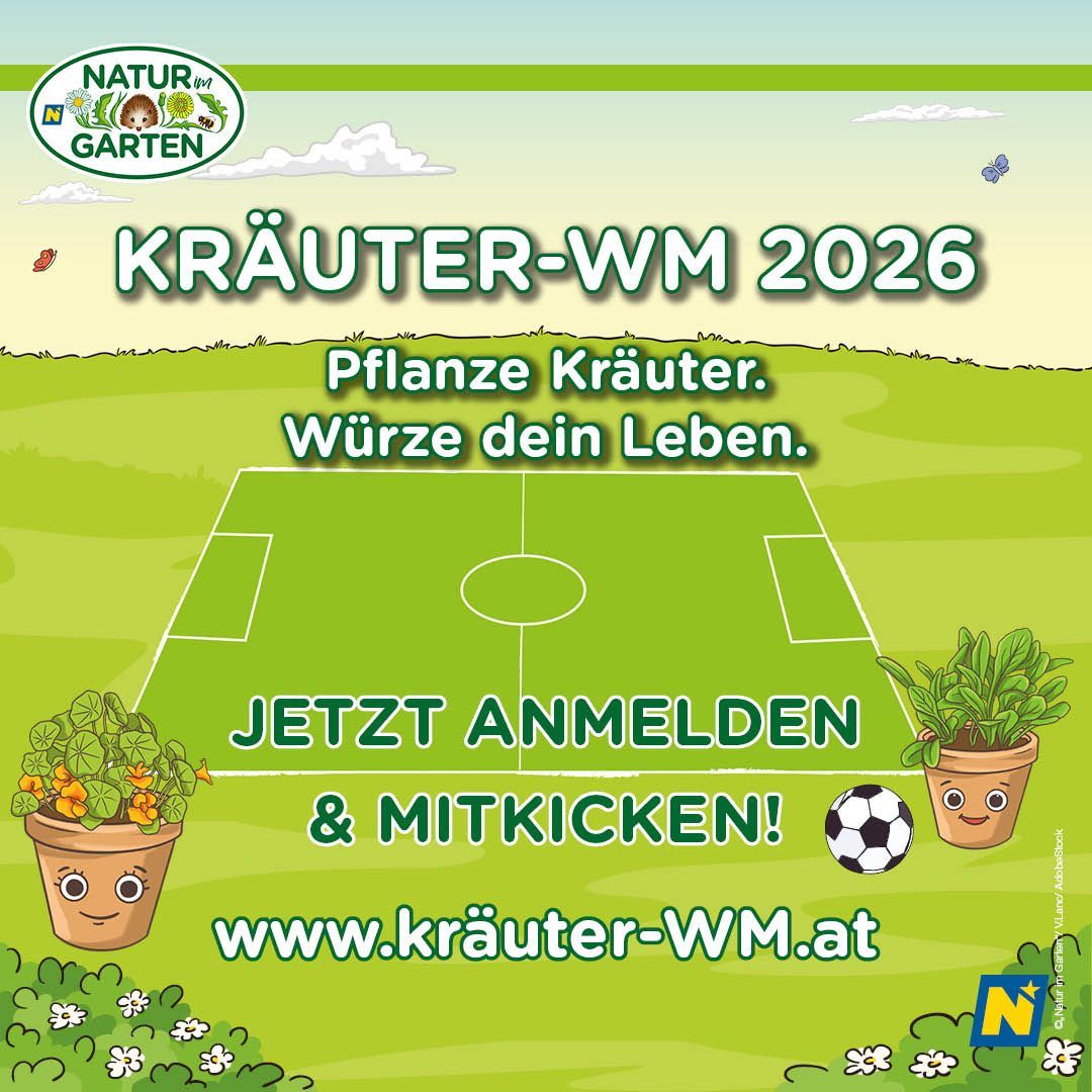 Plakat für Kräuter-WM 2026. Es zeigt ein Fußballfeld, Topfpflanzen und einen Fußball. Slogan: Pflanze Kräuter. Würze dein Leben. Webseite: www.kraeuter-WM.at.