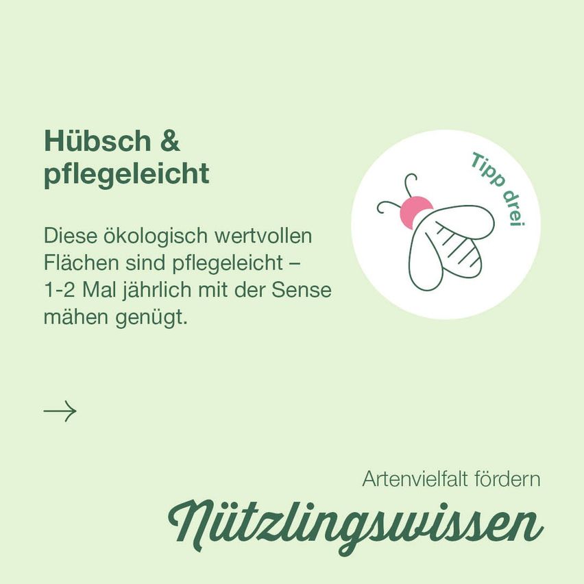A poster with a bee, highlighting the importance of eco-friendly spaces, promoting the use of organic mulch in gardens. The text emphasizes the ease of maintenance, recommending its use 1-2 times a year.