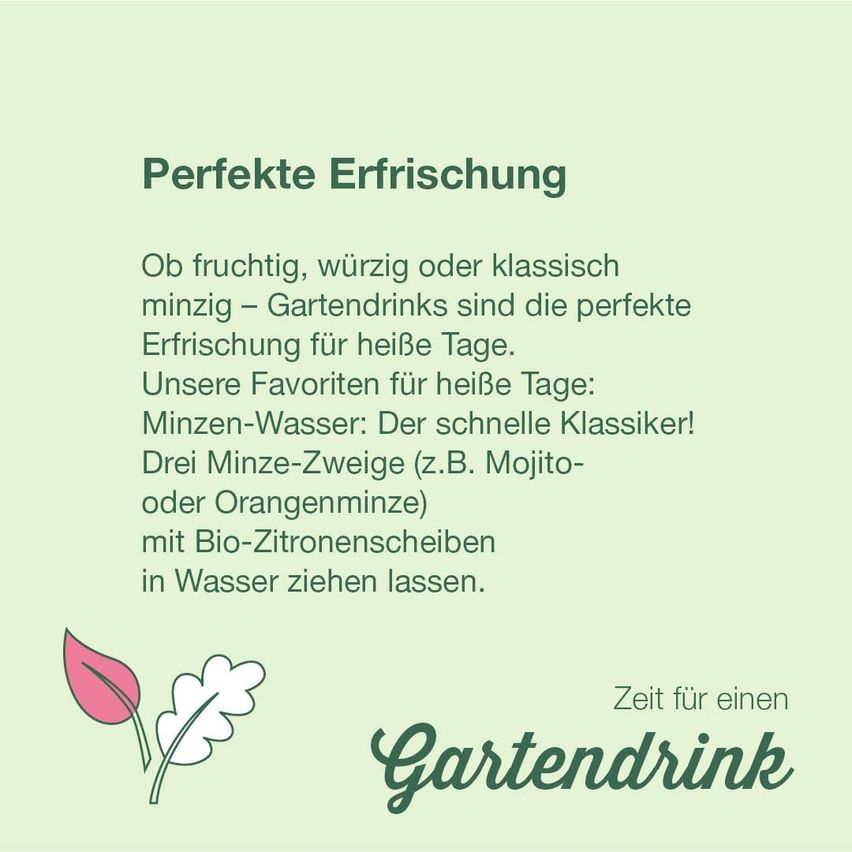 Perfect refreshment. Whether fruity, spicy, or classic minty, garden drinks are the perfect refreshment for hot days. Our favorites for hot days: Mint water. The quick classic! Three mint sprigs (e.g. Mojito or orange mint) with bio-citronella leaves in water. Time for a garden drink.