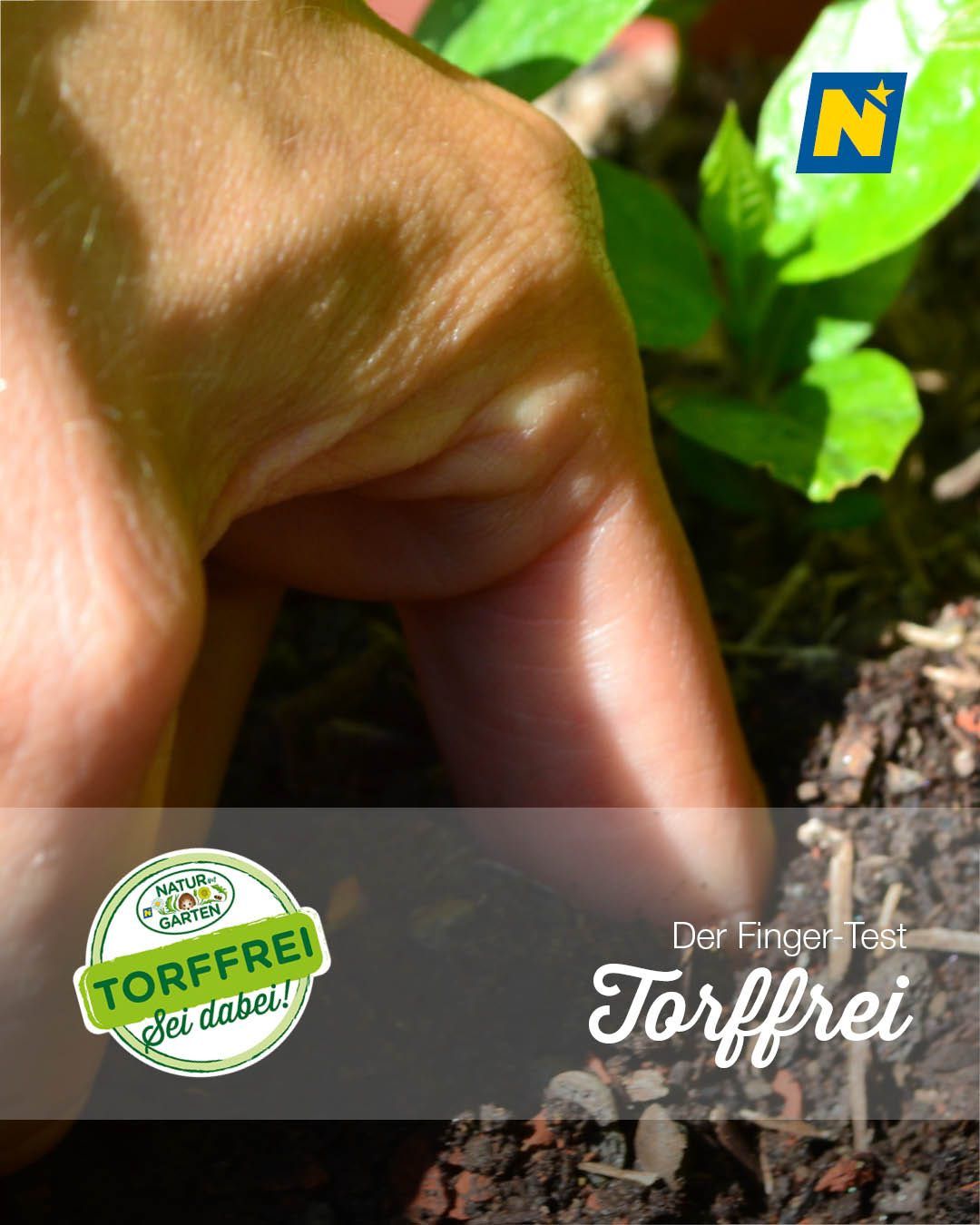 Eine Hand berührt die Erde und zeigt die Textur. Ein grünes Blatt ist teilweise sichtbar. Ein Logo mit den Worten 'Der Finger-Test' und 'Torffrei' ist zu sehen.
