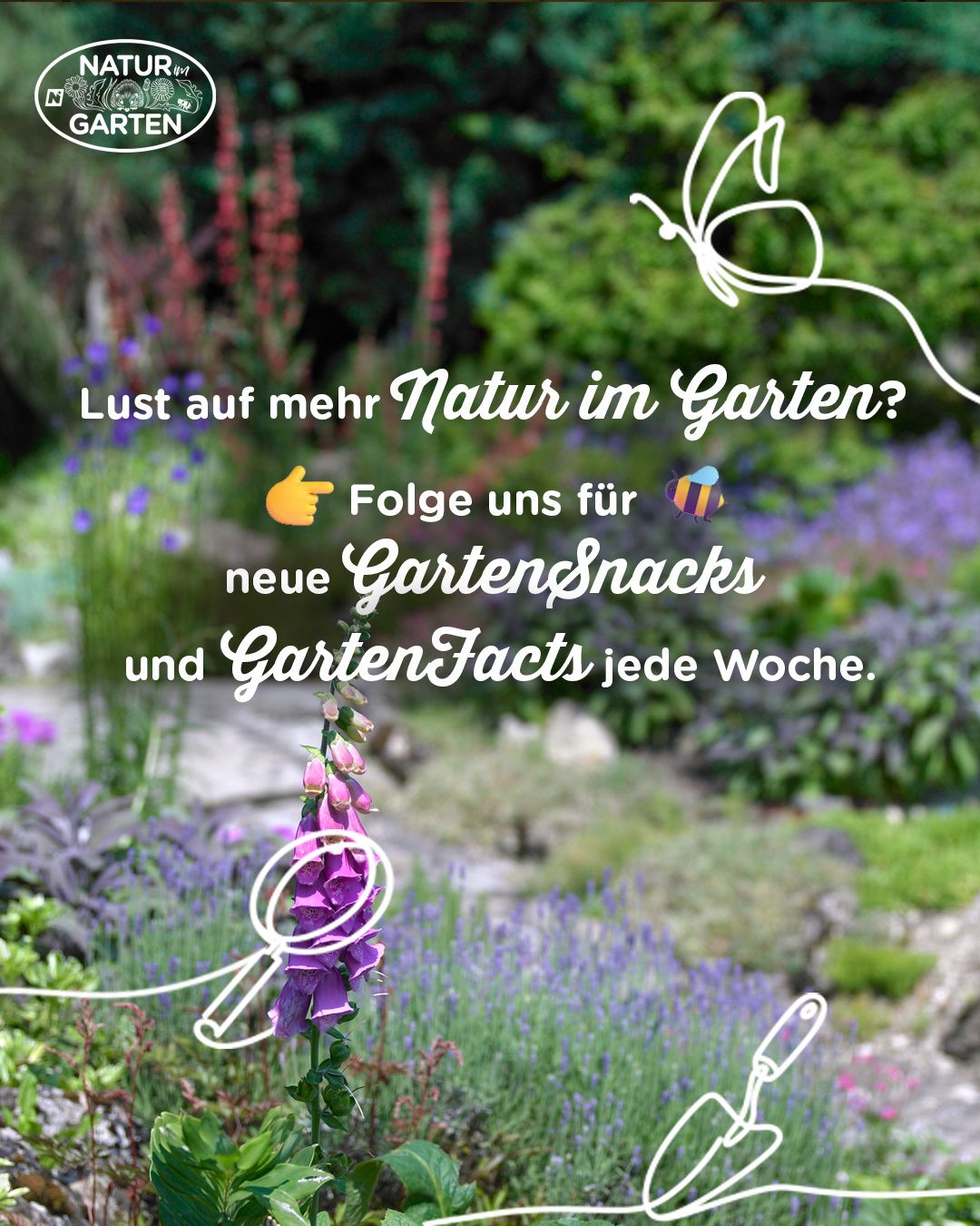 Eine Gartenszene mit verschiedenen Blumen und Grünpflanzen. Ein Text-Overlay lädt ein, für wöchentliche Gartentipps und Fakten zu folgen.