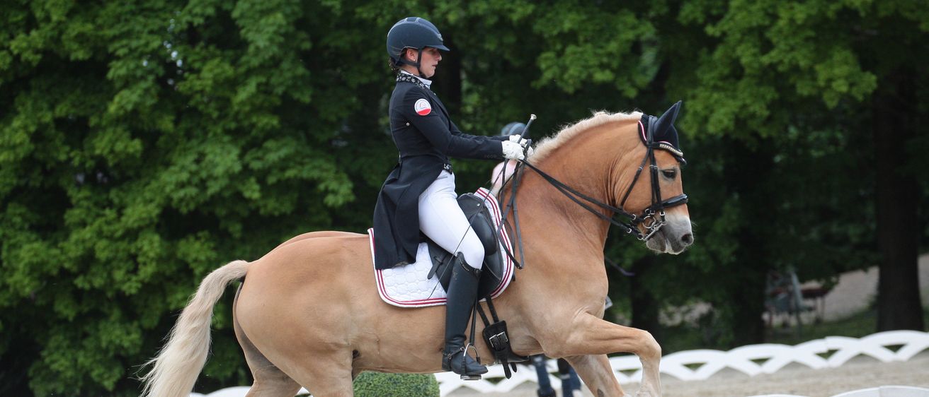 Animal, Equestrian, Horse, Mammal, Person, Adult, Female, Woman, Glove, Horseback Riding