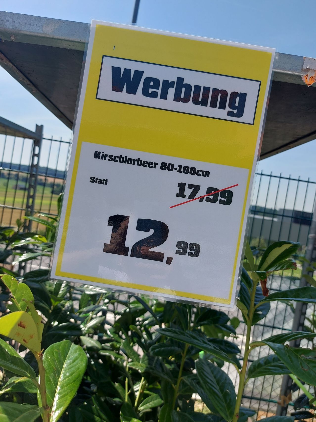 Bild enthält, Sign, Symbol, Advertisement, Plant, Leaf, Text, Poster, Road Sign