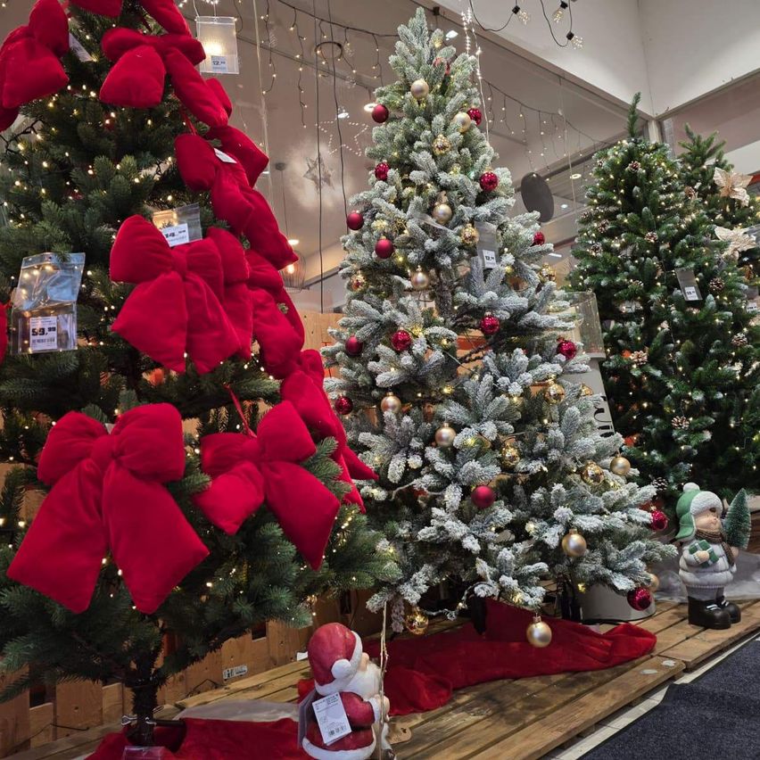 Ein Weihnachtsbaum mit roten Schleifen und Lichtern ist ausgestellt. Ein anderer Baum hat rote Ornamente und silbernen Frost. Dahinter sind zwei weitere Bäume mit weißen Lichtern sichtbar. Ein Holzpodest unterstützt die Bäume.