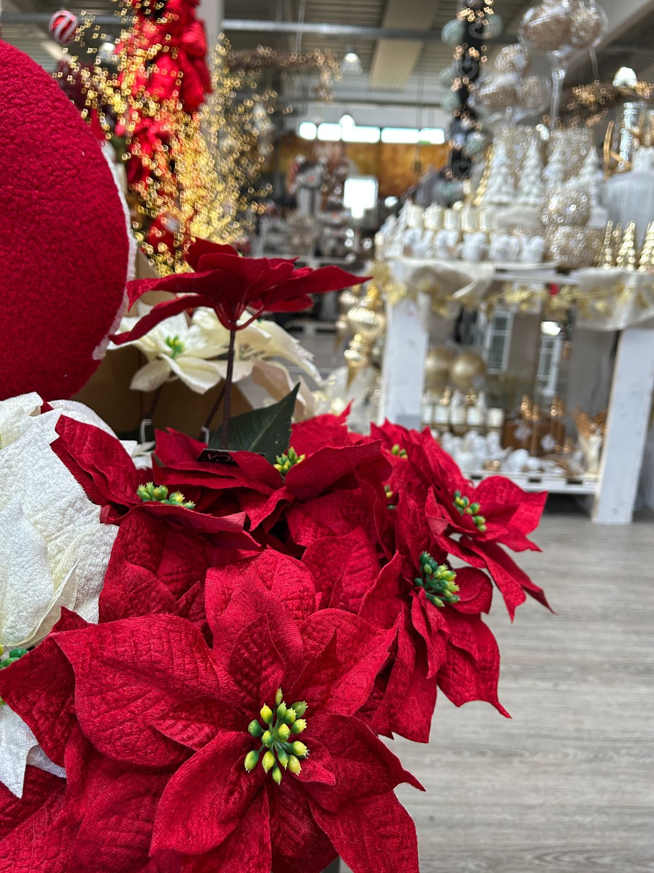 Ein Nahaufnahme eines Straußes roter Weihnachtssterne mit grünen Stielen in einem Weihnachtsladen, eine rote Weihnachtsmütze im Vordergrund.