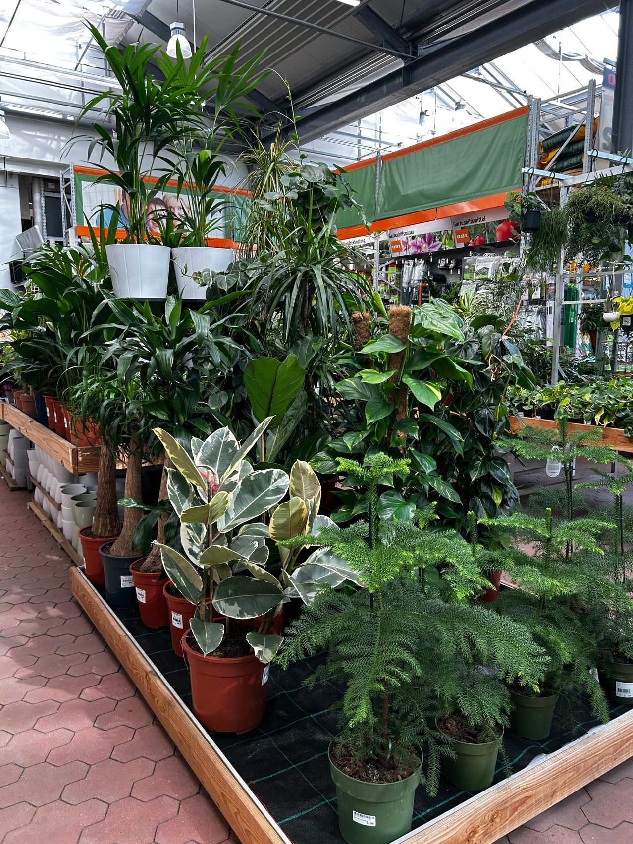 Eine Auswahl an Topfpflanzen, die in einem gut beleuchteten Indoor-Gartencenter ausgestellt sind, wobei einige von der Decke hängen und andere auf Regalen stehen.