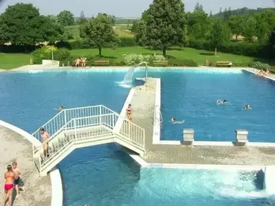 Eine Vogelperspektive eines großen Schwimmbeckens mit Schwimmenden und einer Brücke, die hinüberführt. Das Becken ist von grüner Wiese und Bäumen umgeben.