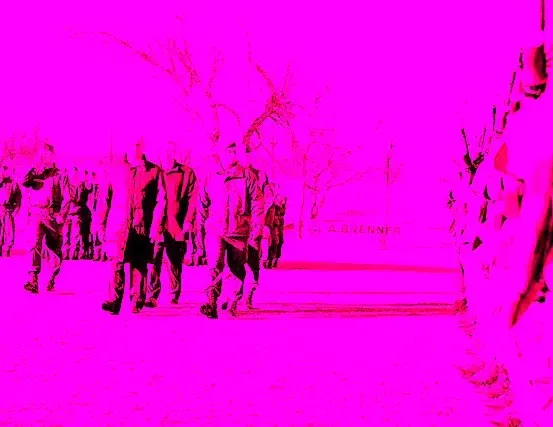 Eine Gruppe von Menschen in Schwarz geht auf einem rosa gefärbten Pfad mit Bäumen im Hintergrund.