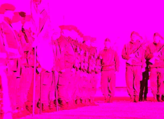 Eine Gruppe von Personen in Militäruniformen steht in einer Reihe vor einem hellen rosa Hintergrund. Sie scheinen Soldaten bei einer Parade oder Zeremonie zu sein.