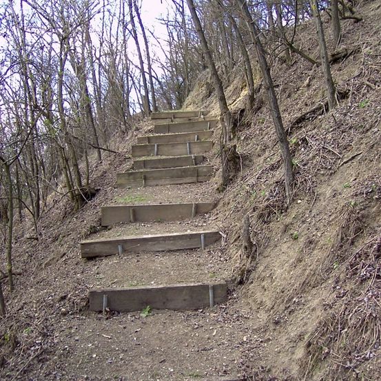 Eine Holztreppe ist in einen steilen Hang eingeschnitten. Die Stufen sind ungleichmäßig und eng, umgeben von kahlen Bäumen und trockenen Blättern.