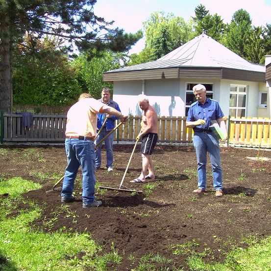 Vier Männer arbeiten in einem Gartenbereich, zwei halten Rechen und die anderen zwei Schaufeln. Der Garten ist von einem Holzzaun umgeben.
