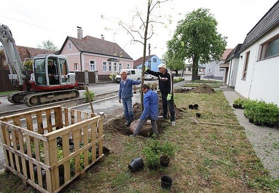 Vier Männer pflanzen einen Baum in einem Garten mit einem Holzkasten und Eimern in der Nähe. Ein Baufahrzeug ist geparkt. Häuser und Bäume sind im Hintergrund.