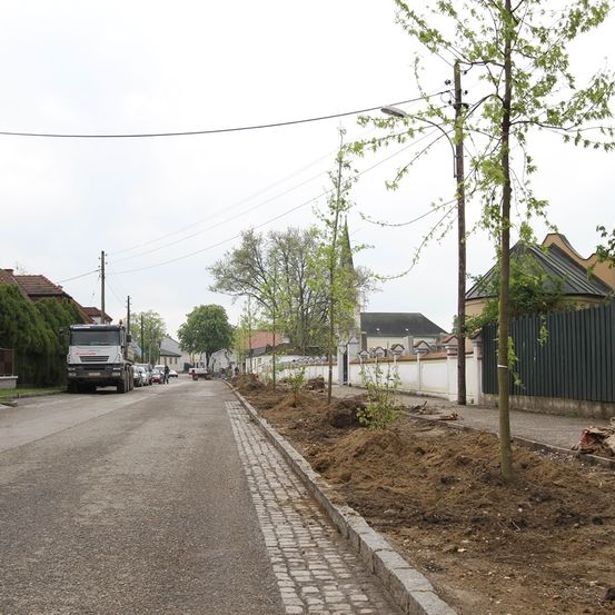 Eine leere Straße mit geparkten Fahrzeugen, einer Straßenlaterne und Bäumen im Bau. Auf beiden Seiten befinden sich Wohnhäuser und Häuser.
