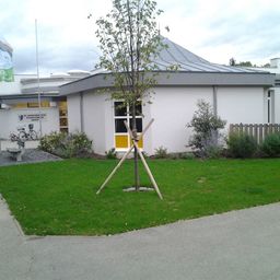 Ein weißes Gebäude mit grauem Dach und gelben Akzenten, einem Fahnenmast, einer Bank und einem Fahrrad auf dem Rasen.