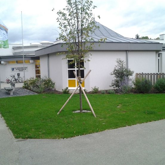 Ein modernes Gebäude mit grauem Dach und gelben Fenstern steht draußen. Ein kleiner Baum wird von Holzstangen gestützt im Gras.