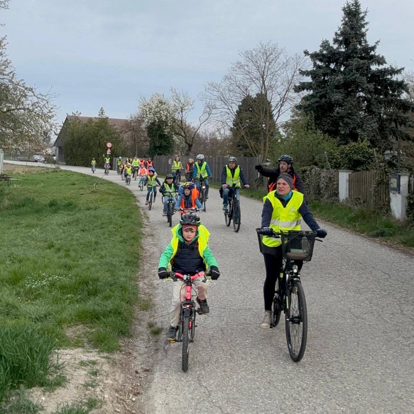 Eine Gruppe von Radfahrern, darunter Kinder, fährt auf einem asphaltierten Weg, umgeben von Gras und Bäumen, und trägt Sicherheitswesten und Helme.