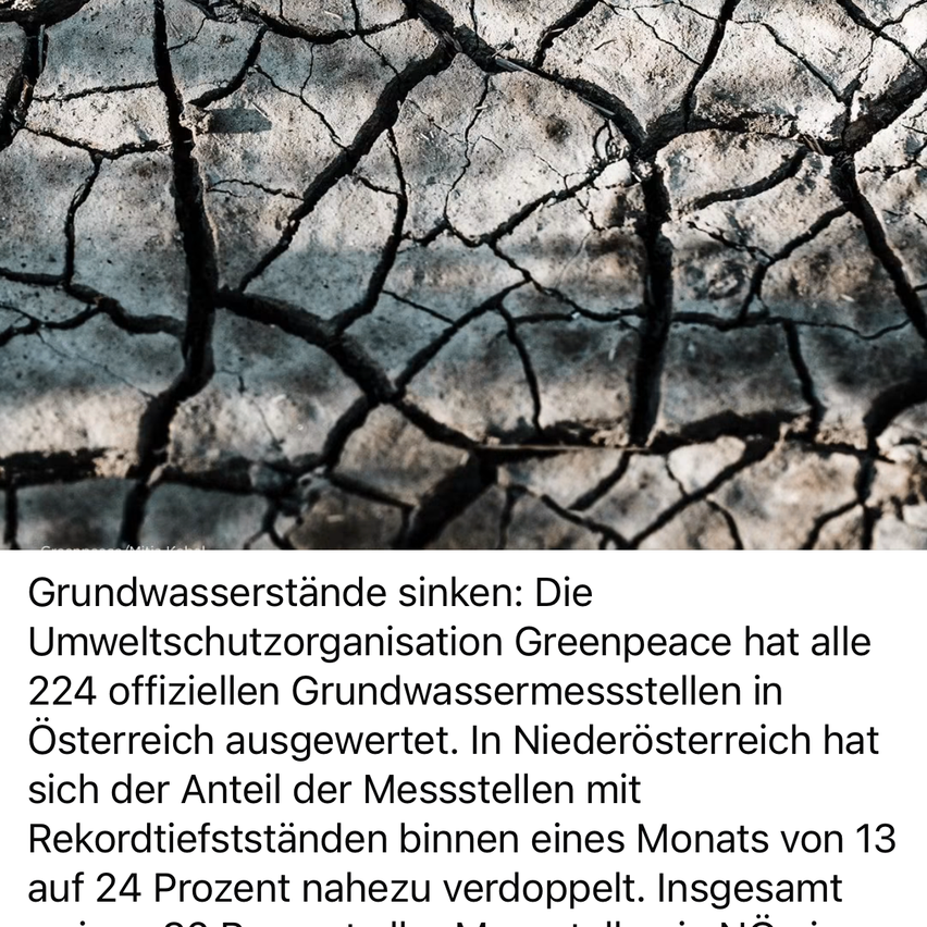 Cracked ground, dry conditions. Greenpeace assessed all 224 official groundwater stations in Austria. In Lower Austria, the percentage of stations with record low levels almost doubled within a month from 13 to 24 percent. Overall, 64 percent of stations showed record low levels.