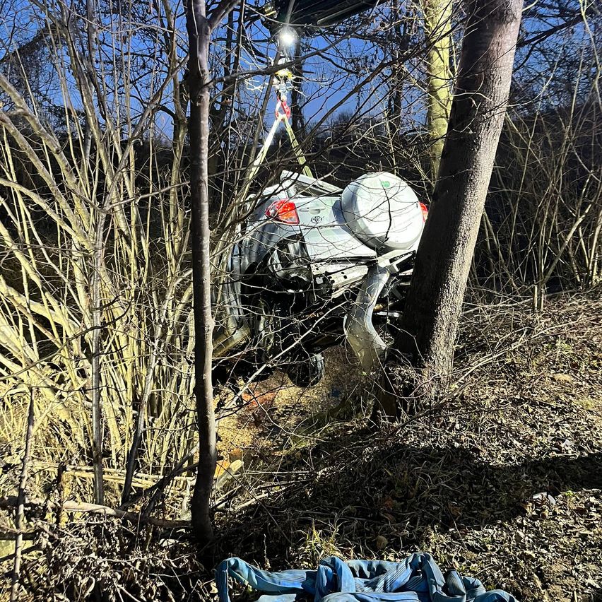 Bild enthält, Vegetation, Shoe, Soil, Land, Nature, Outdoors, Tree, Woodland, Grove, Tire