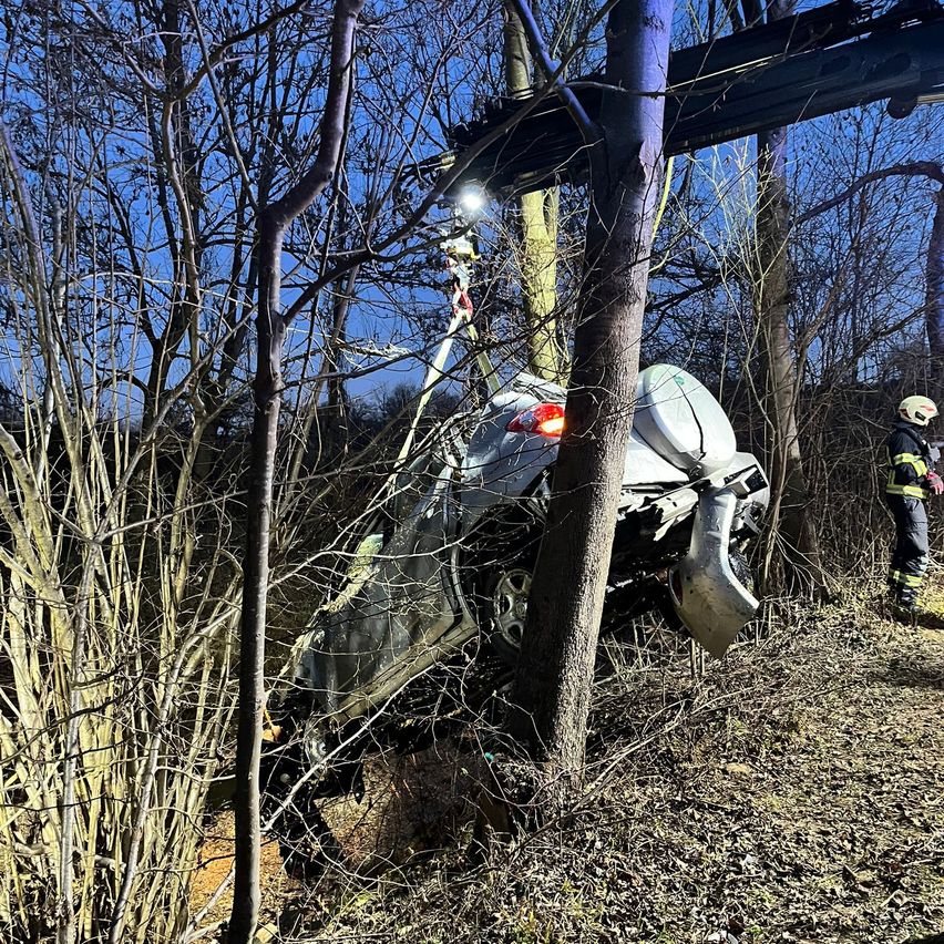 Bild enthält, Vegetation, Tree, Helmet, Person, Soil, Outdoors, Woodland, Grove, Glove, Vehicle