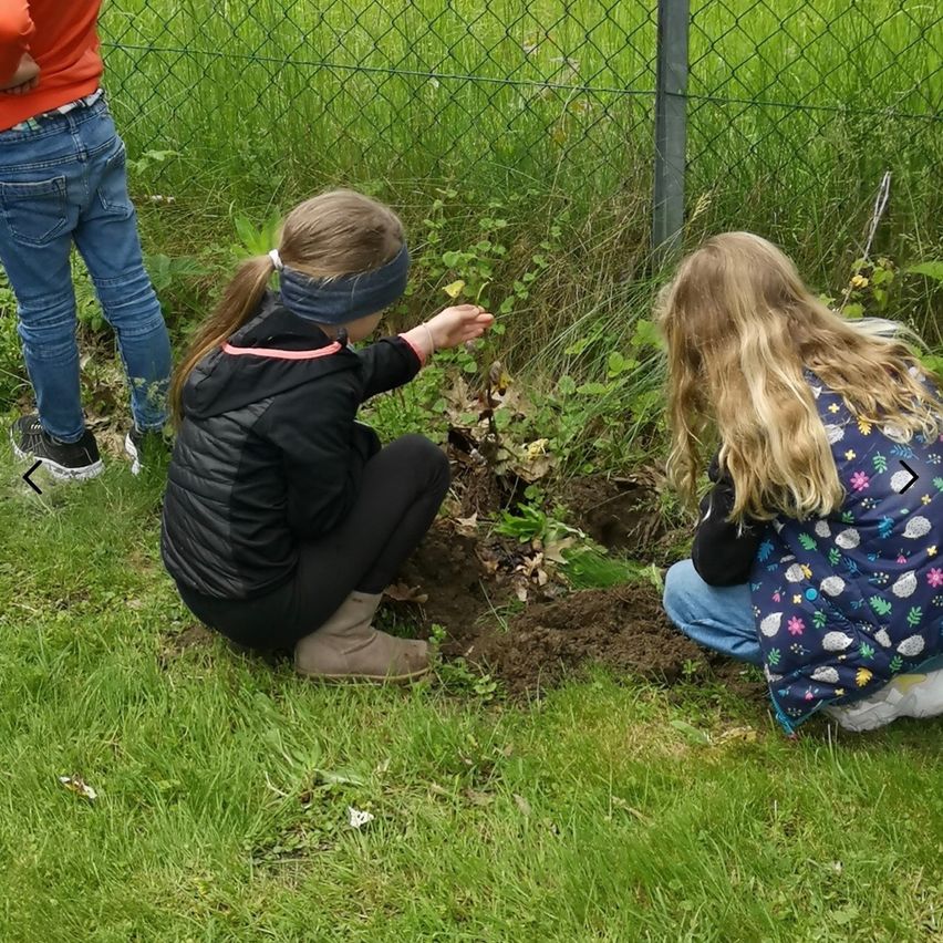 Drei Kinder pflanzen etwas im Gras. Das Mädchen in der Mitte kniet, trägt ein Stirnband und eine Jacke. Die anderen beiden Kinder tragen Stiefel und Jeans. Ein Zaun ist im Hintergrund.