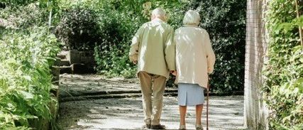 Bild enthält, Path, Walking, Vegetation, City, Grove, Street, Tree, Woodland, Trail, Grass